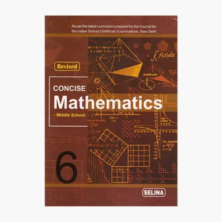 Concise Mathematics - 6